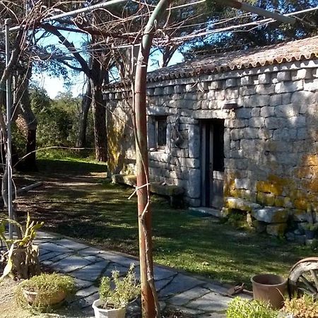 Agriturismo La Vigna Tempio Pausania Exterior foto