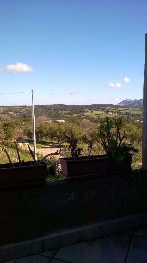 Agriturismo La Vigna Tempio Pausania Exterior foto