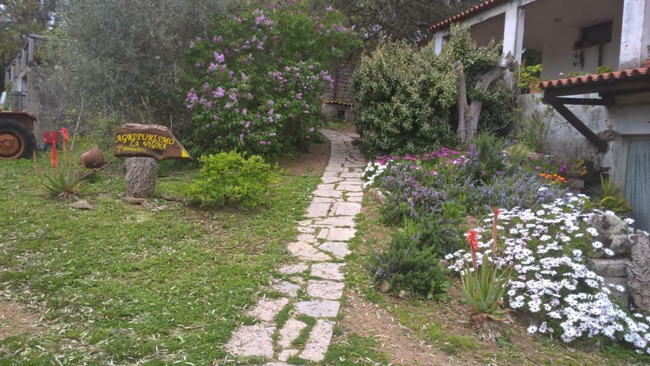 Agriturismo La Vigna Tempio Pausania Exterior foto